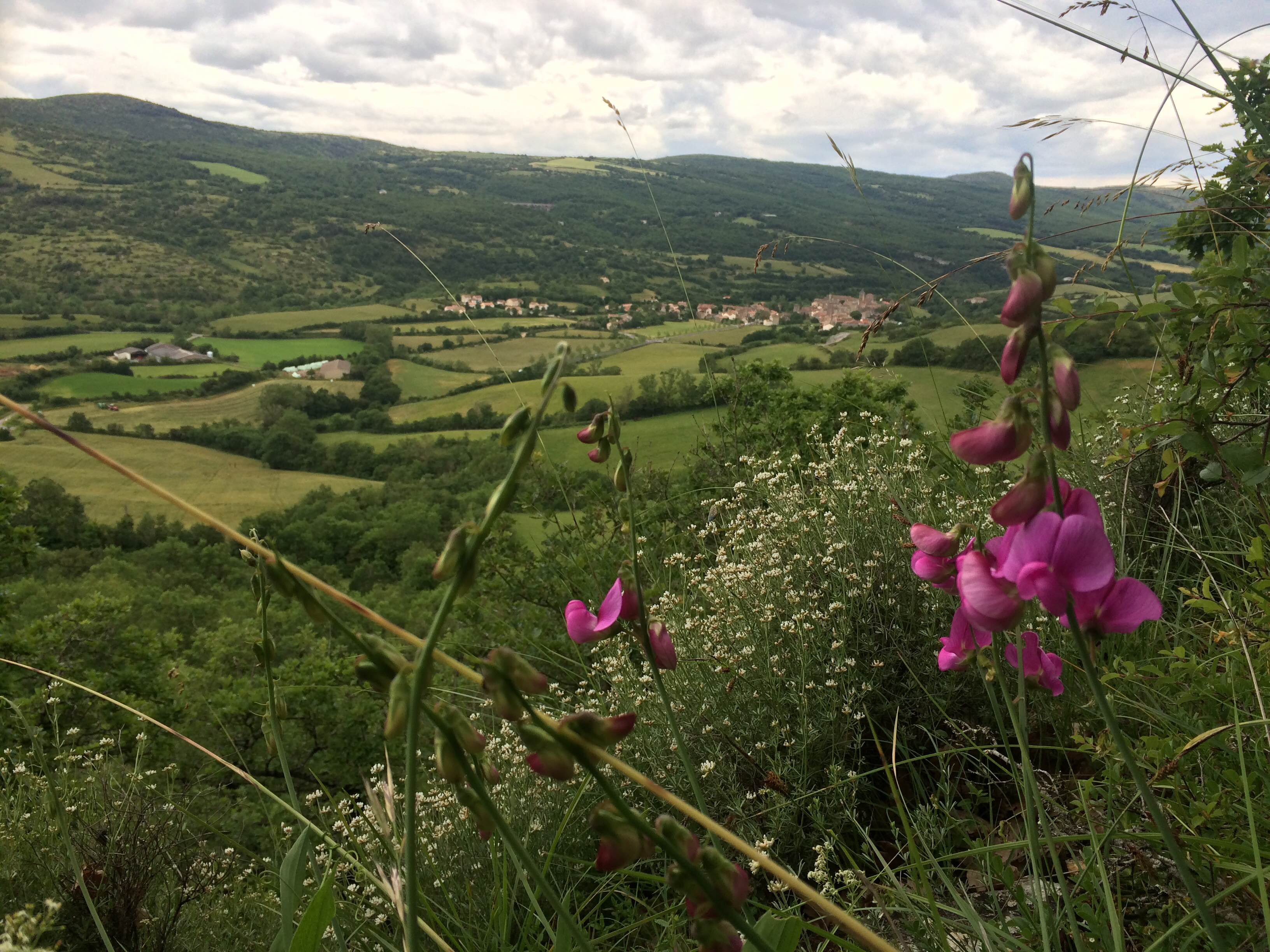 La vallée du Cernon