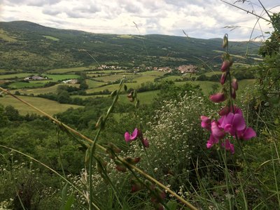 La vallée du Cernon